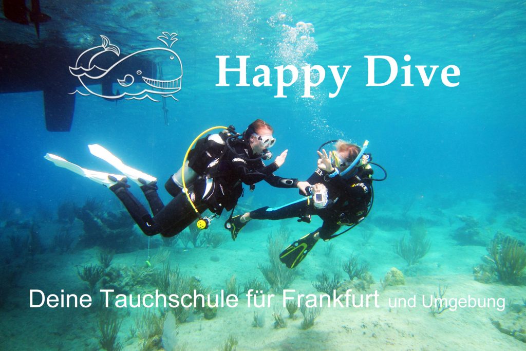 Happy Dive